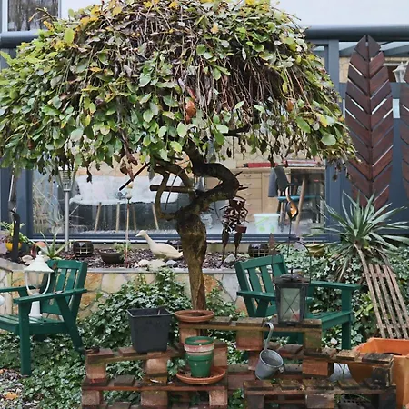 - Ihre Im Ruhrgebiet Apartment *