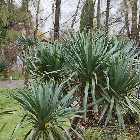 - Ihre Im Ruhrgebiet * Gladbeck