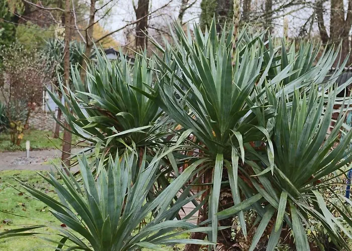 - Ihre Im Ruhrgebiet * 格拉德贝克